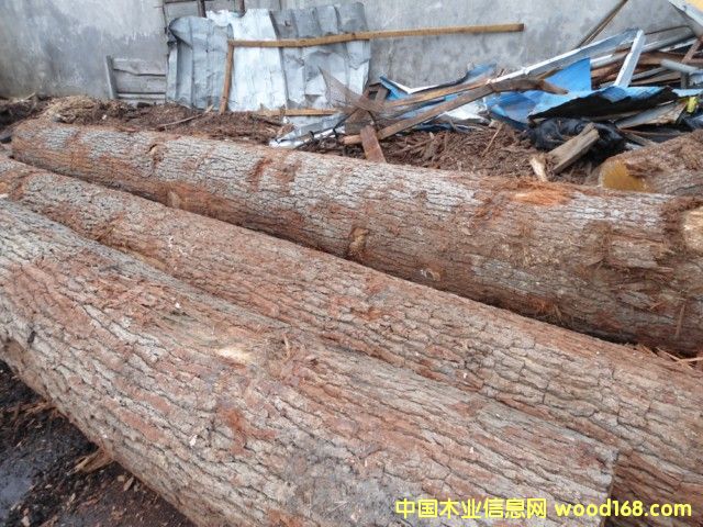 ���м�����ԭľ