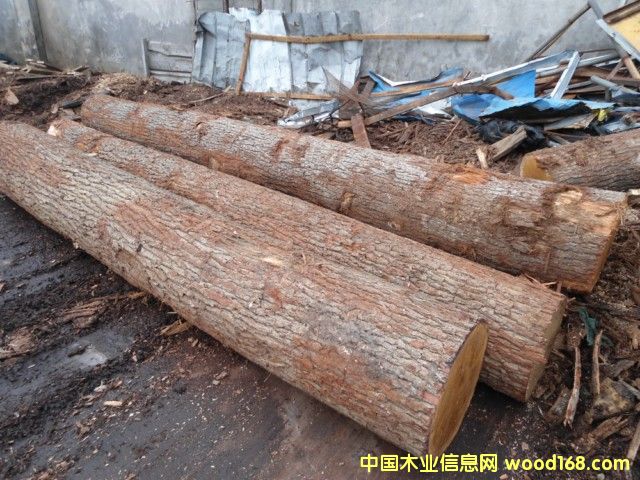 ���м�(j��)����ԭľ