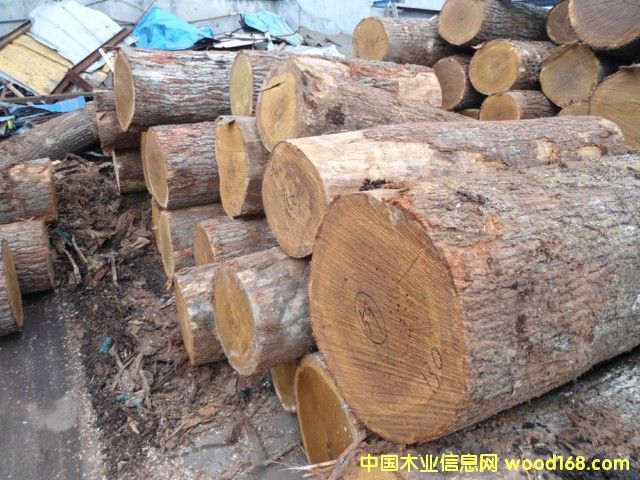 ���м�(j��)����ԭľ