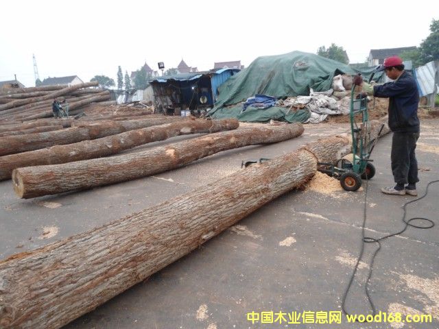 ���м�����ԭľ