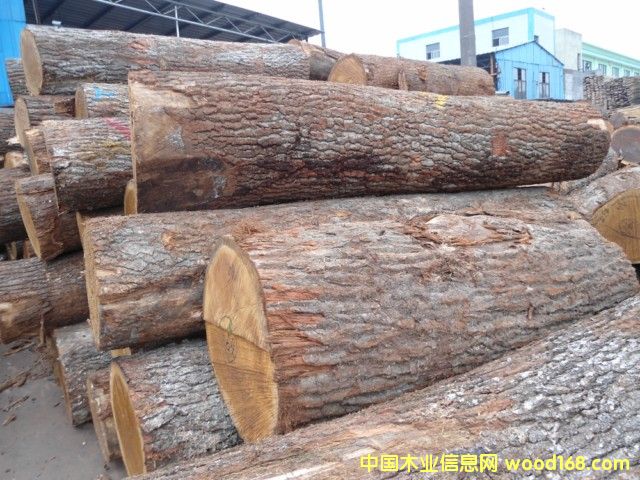 ���м�(j��)����ԭľ