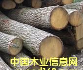 ���м�����ԭľ