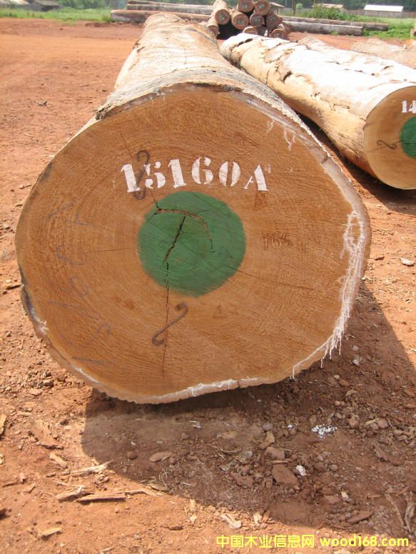 Aniegre������ԭľ