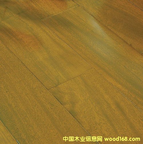 ����ľ��TER��TB��