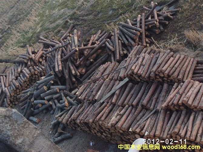 �ΰ�ԭ����