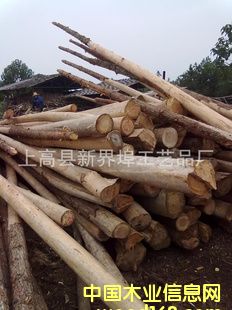 ��(y��u)�|(zh��)ɼľԭľ