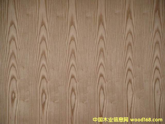 �|�(y��ng)ľƤ