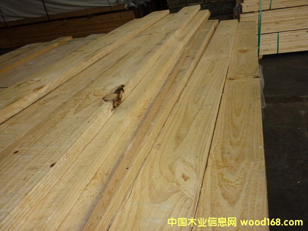 ����ݗ����