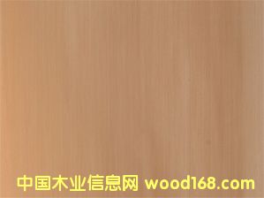 E.V.�׺���#512PQ��Ԕ��(x��)��B