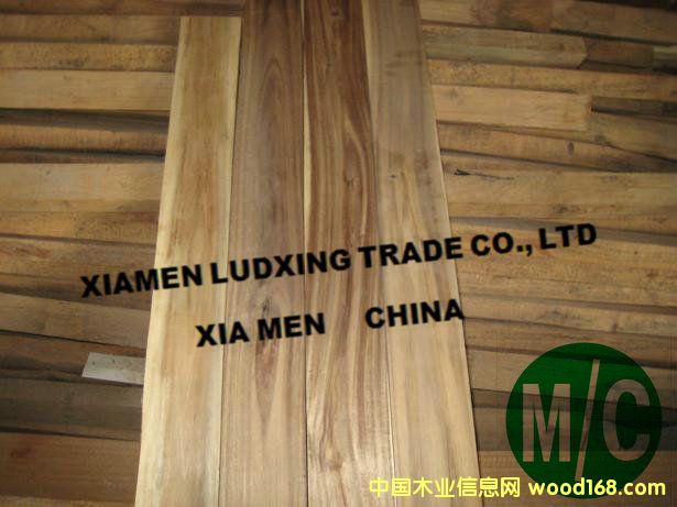 ��˼ľ�������˼ľ�ذ����ϣ�acacia5