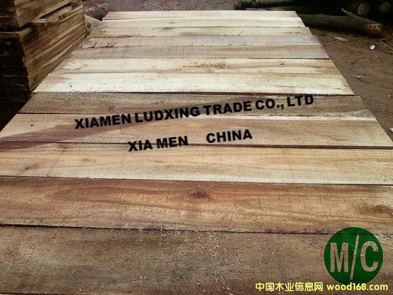 ������˼ľ2