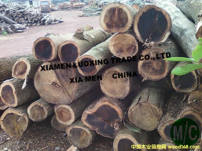 ������˼ľ6ԭ