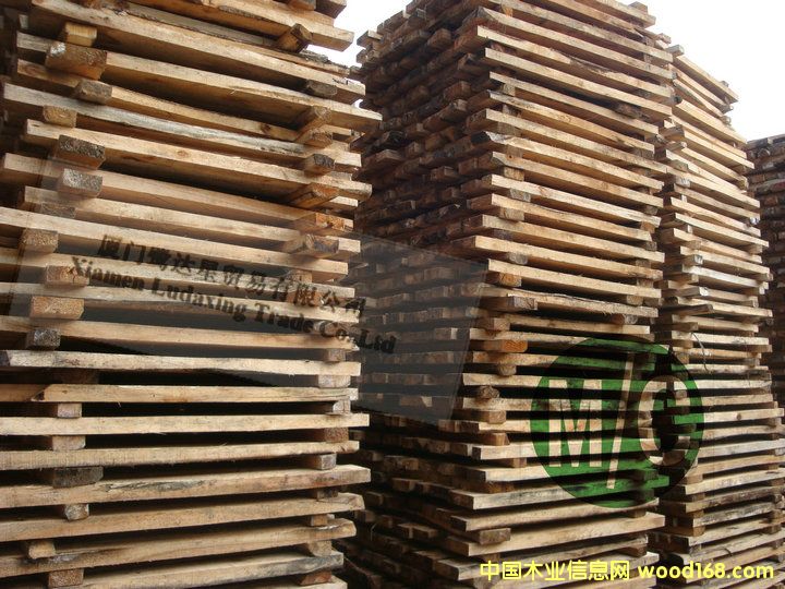 �R����ľ�����ľ��������