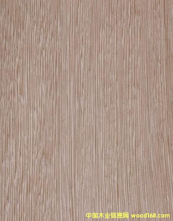 ��ľB��Ԕ����B