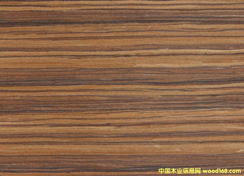 ������֦303��Ԕ����B