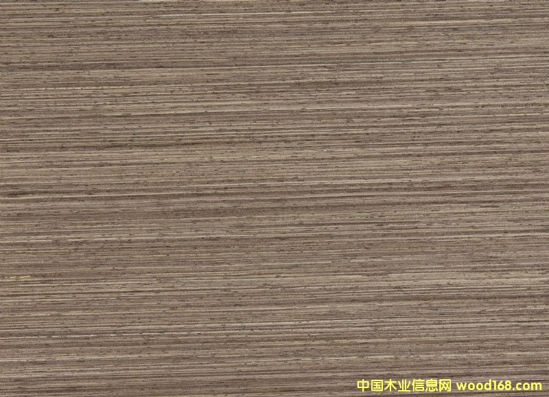 ����ľQ��Ԕ����B