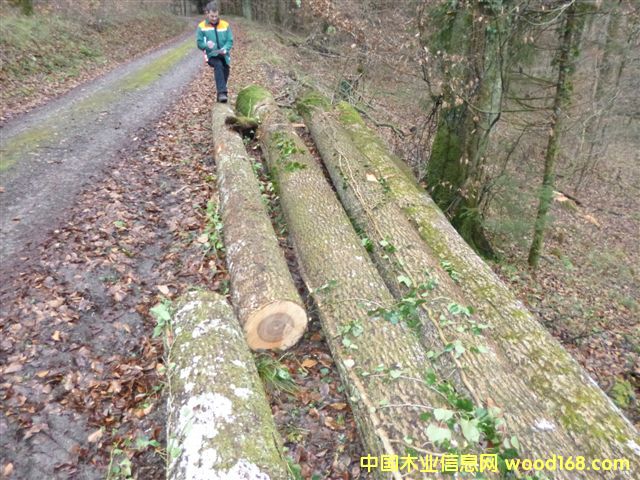 ��˨ԭľ��Ԕ����B