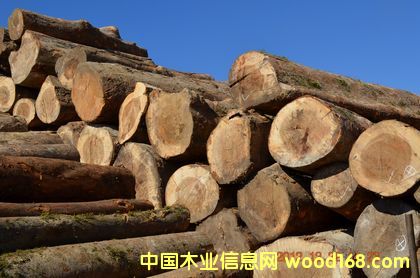 ��ɣľ��Ԕ��(x��)��B