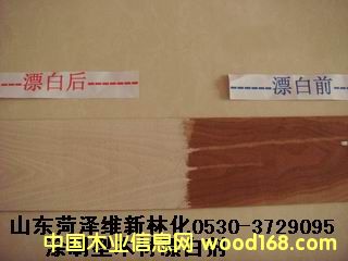 �ذ�ľƤƯ�ׄ�