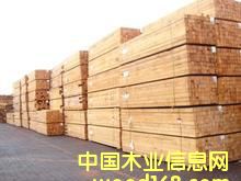 ��~���ĵ�Ԕ����B