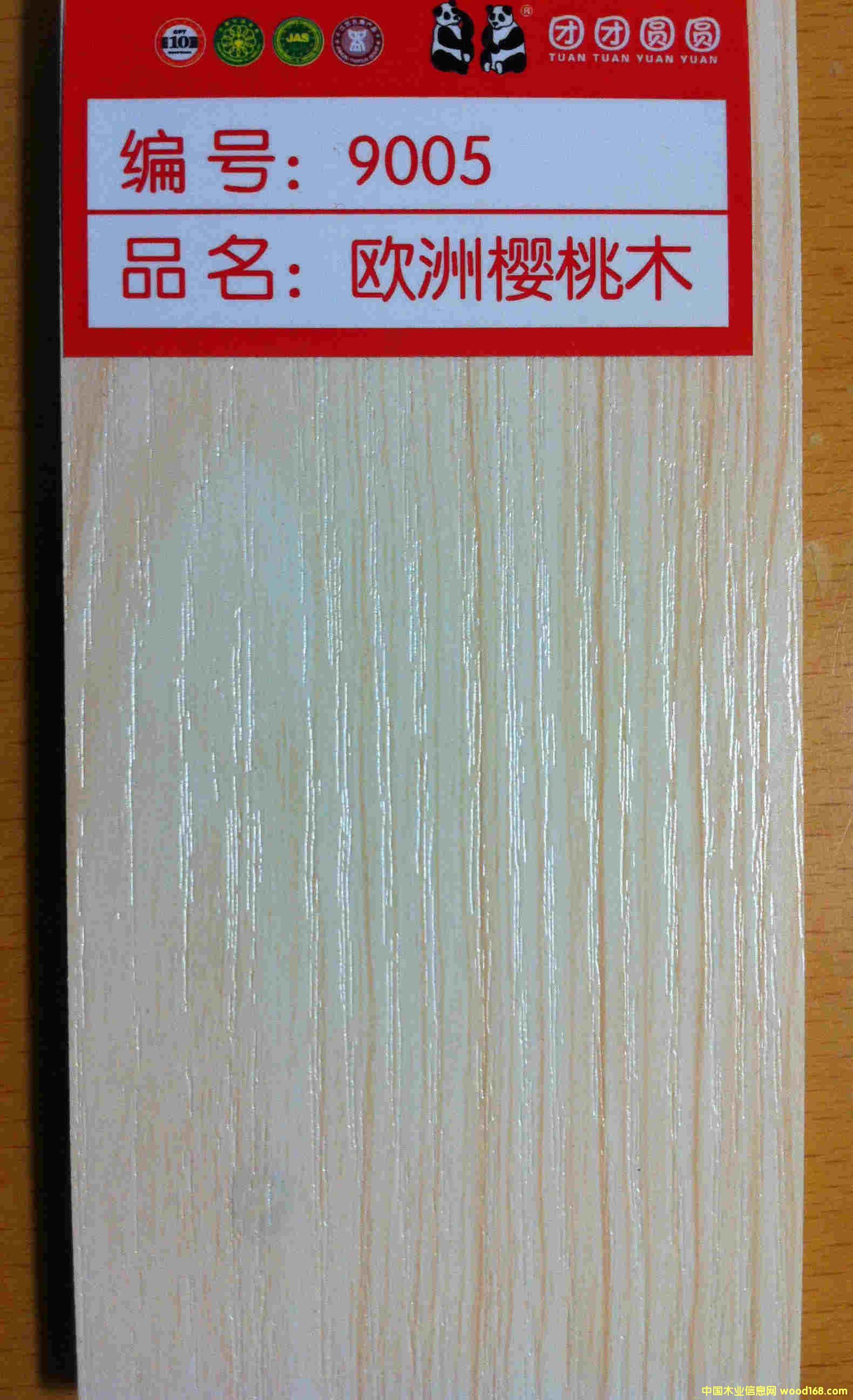 ���B(t��i)���Ԕ��(x��)��B