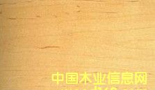 ܛ����Ԕ����B