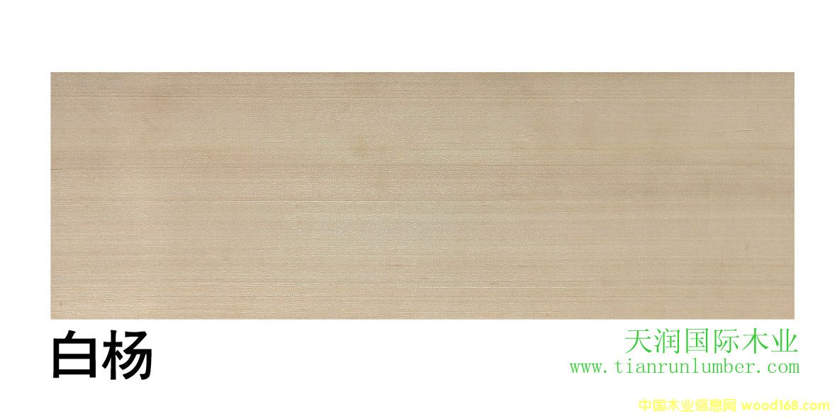 �ח�&�����ח��Ԕ����B