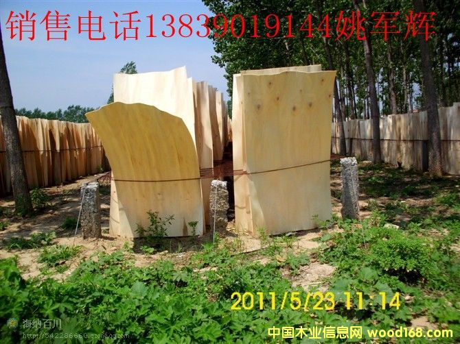 ��ľ�ΰ��Ԕ��(x��)��B