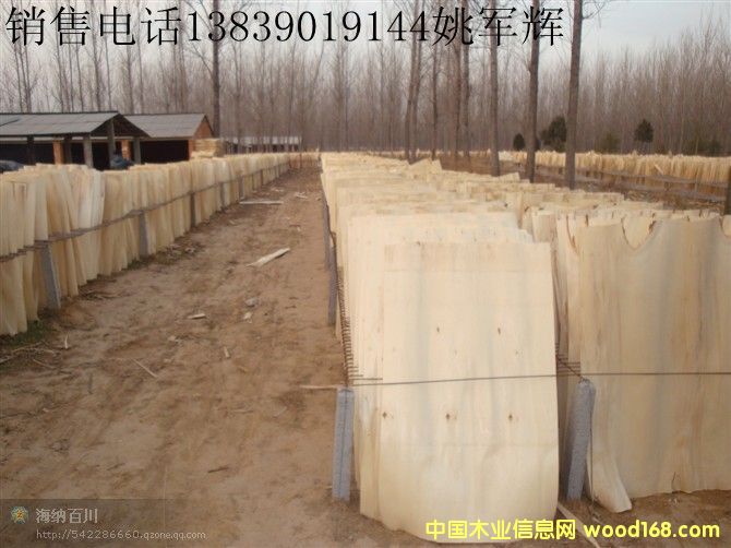 �o����ľ�ΰ��Ԕ��(x��)��B