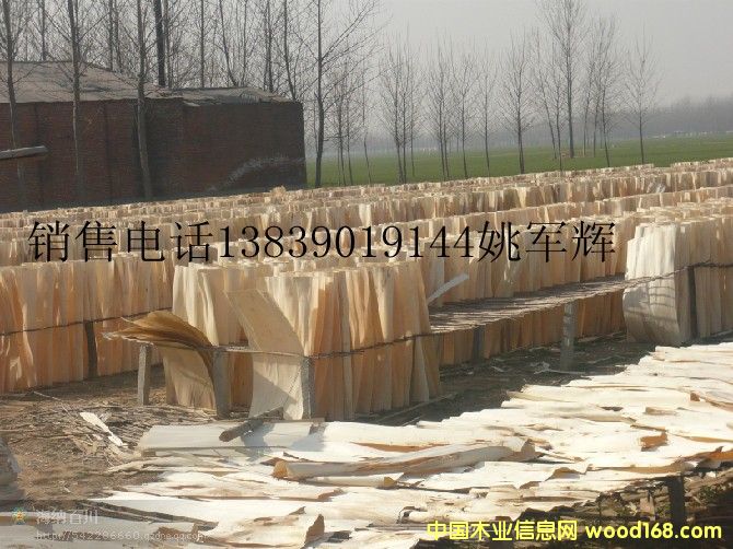 ��ľ�ΰ��Ԕ��(x��)��B