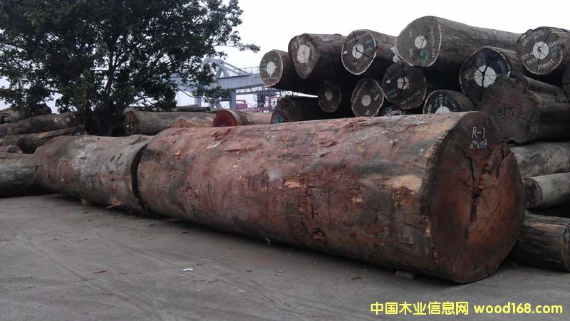 �µ����������}��