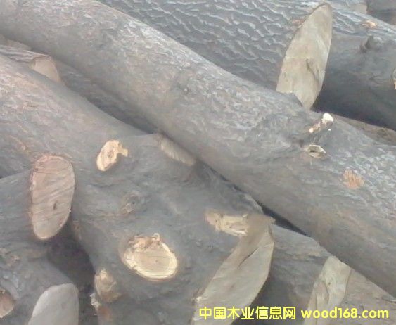 ͩľ��Ԕ��(x��)��B