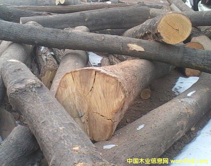 �����Ԕ��(x��)��B