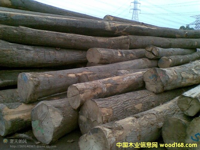 ��Ϟ?z��i)�ԭľ��Ԕ����B