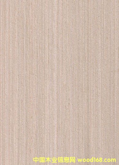 30�z�Ƽ�ľƤ �Ҿ�ľƤ�N�� �|ݸľƤ���l(f��)��Ԕ����B