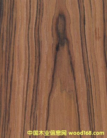 �¿�ɽ�y��֦ �Ҿ�ľƤ��֦ �ߙn������֦��Ԕ����B