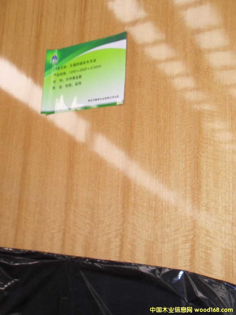 19�������h(hu��n)��UVľ�����Ԕ����B