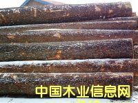 �t�ɈAľ��(gu��)�a(ch��n)