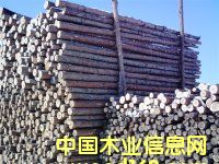 ���~�ɏ�ľ