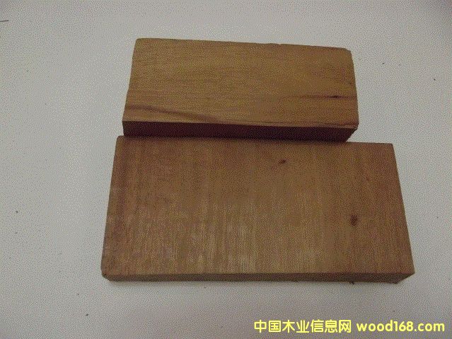 桃花芯木的詳細(xì)介紹