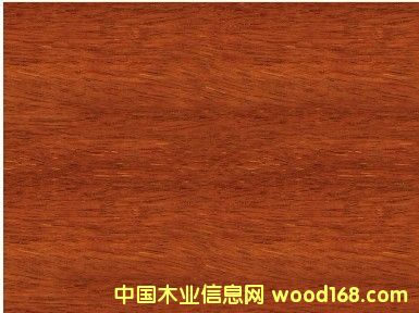 ����(y��ng)�y��ľ������y��ľ����(b��o)�r(ji��)���Ϻ��S���y��ľֱ�N��Ԕ��(x��)��B