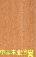 �S�ҟ��Nɳ������� ɳ���� ɳ�����S�ҵ�Ԕ��(x��)��B