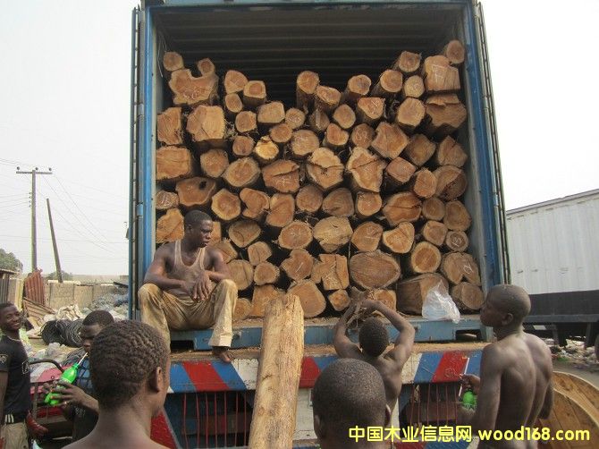 柚木的詳細介紹