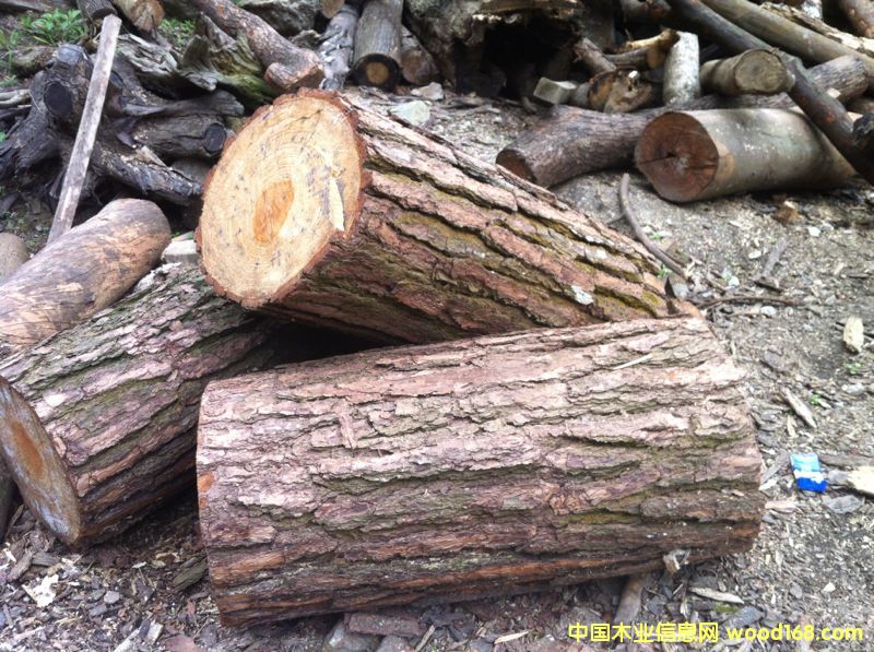 �sľ��Ԕ��(x��)��B