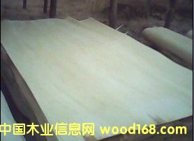 Ư�ח�ľ��Ƥ��Ԕ��(x��)��B