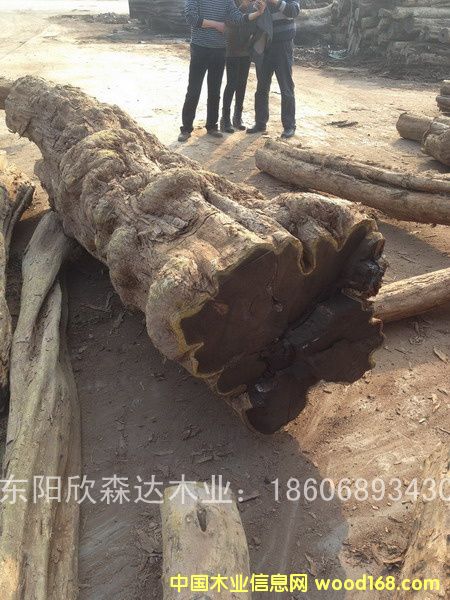 �Ϲ�̴(��̴����ľ,�|�Ǻ��S̴)130120-3