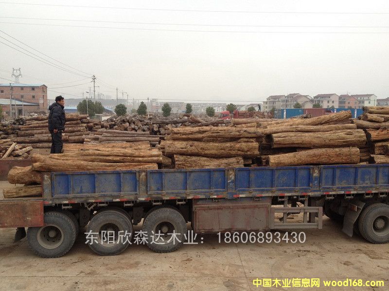 �Ϲ�̴(��̴����ľ,�|�Ǻ��S̴)130120-11