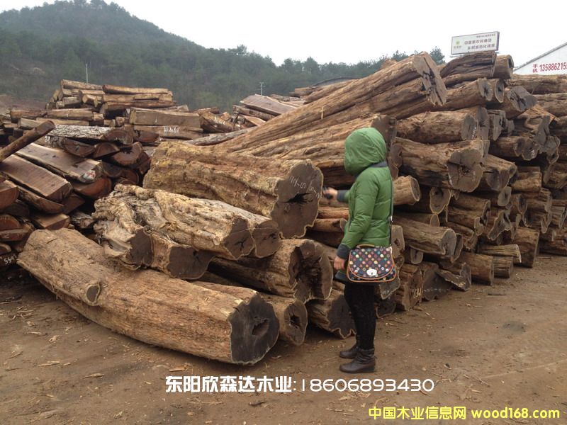 �Ϲ�̴(�|�Ǻ��S̴,��ľ,��̴)130226-9