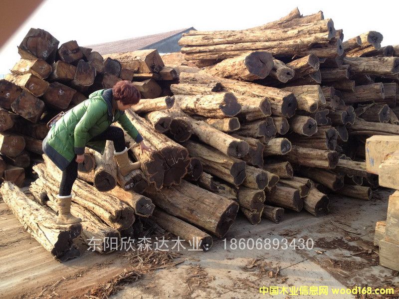 �Ϲ�̴(��̴����ľ,�|�Ǻ��S̴)130120-19