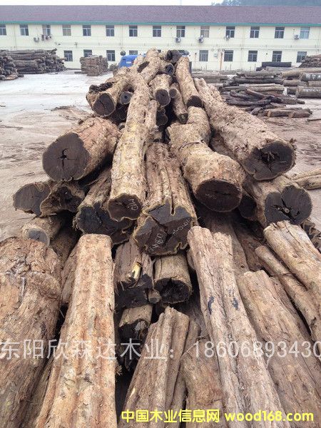 �Ϲ�̴(��̴����ľ,�|�Ǻ��S̴)130120-12